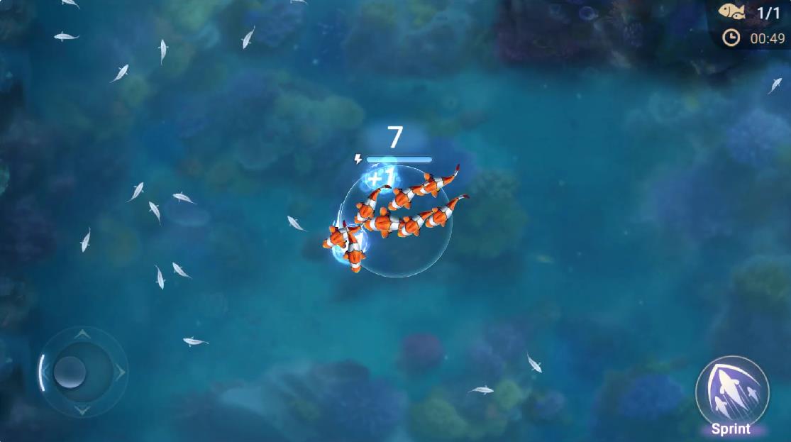 Top Fish