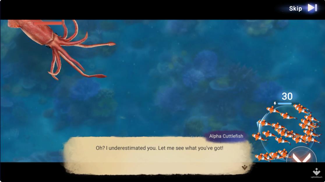 Top Fish