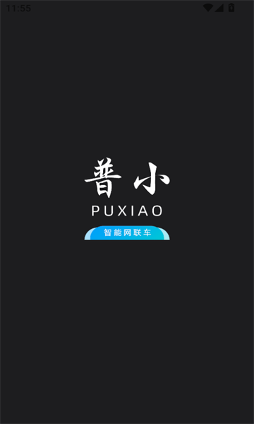 普小智能网联