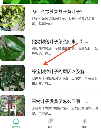 锐创花园