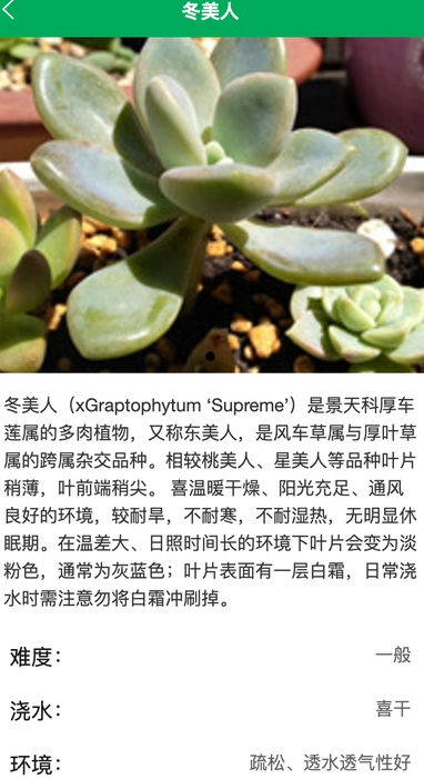 锐创花园