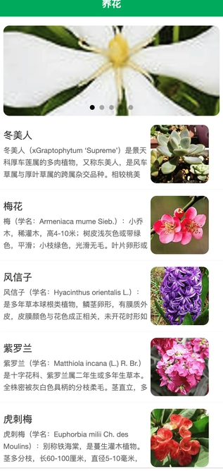 奇奇花园