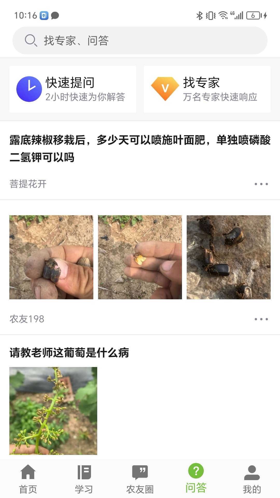 辽农云