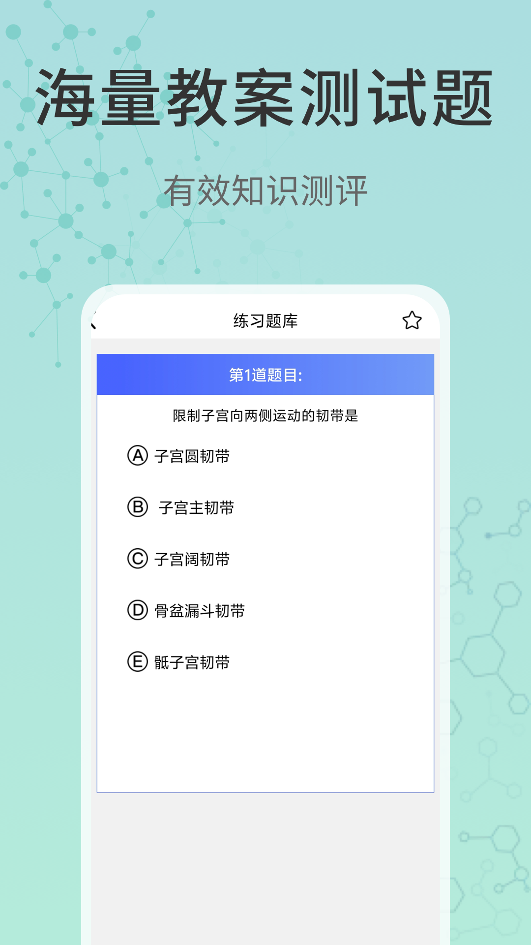 3d解剖