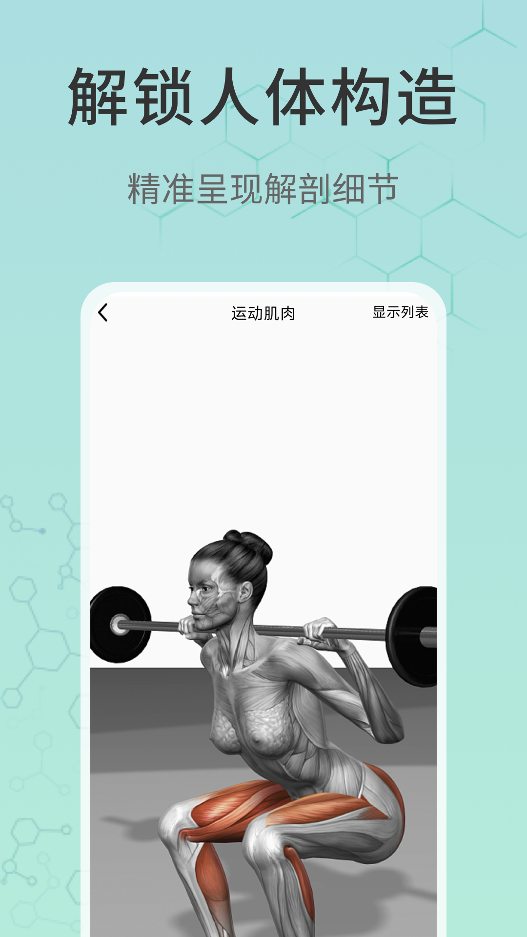 3d解剖
