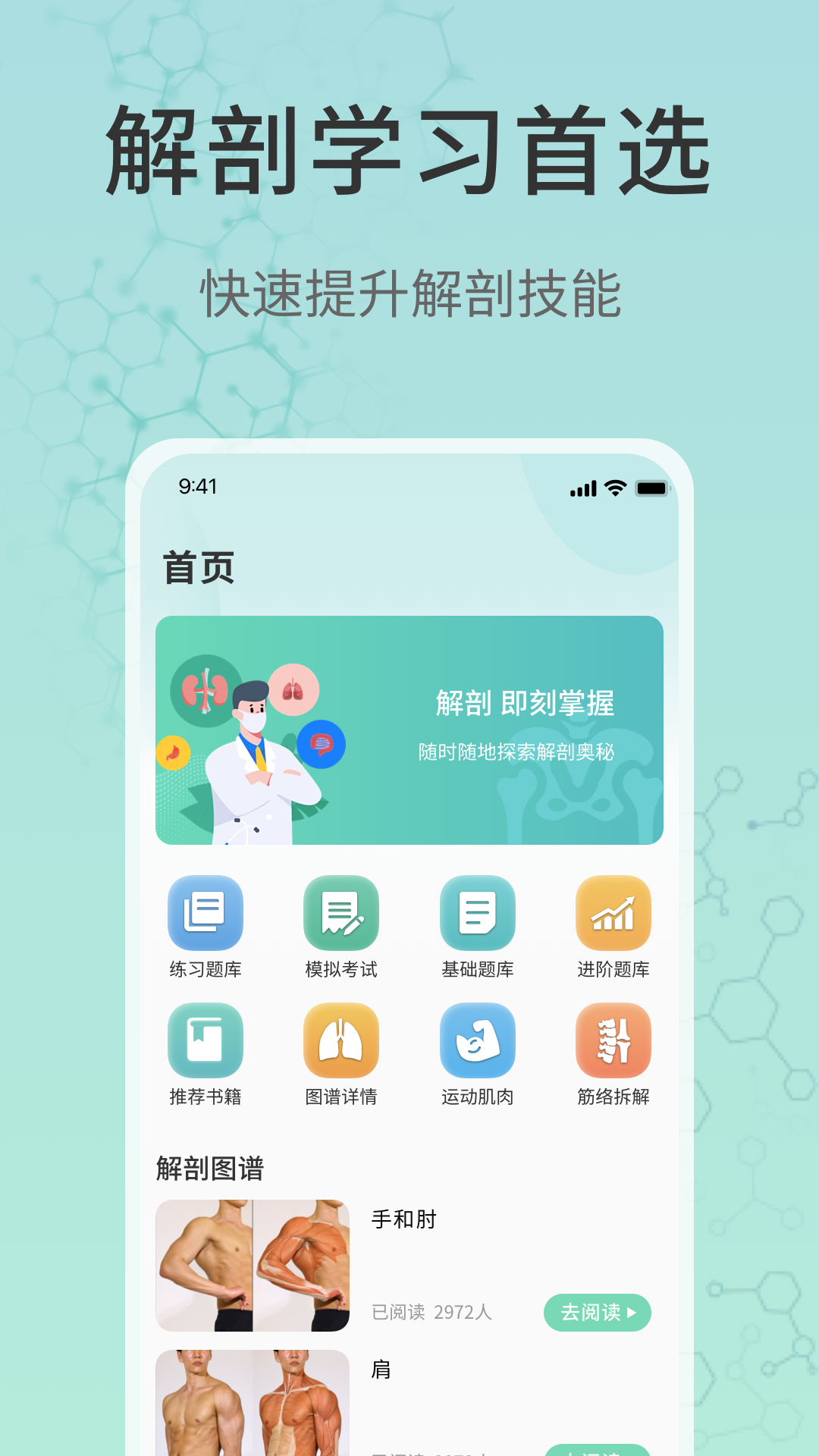 3d解剖