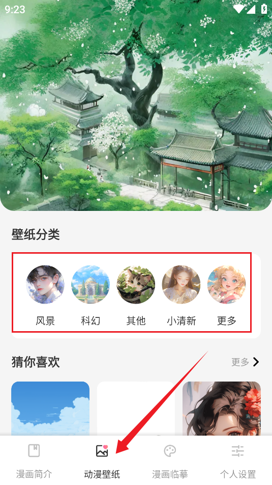 CCP二次元平台