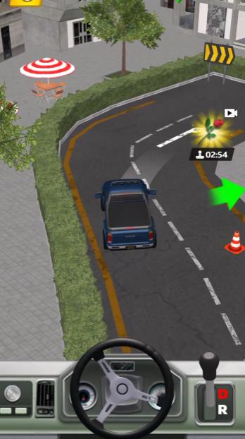 真实驾驶车辆和停车