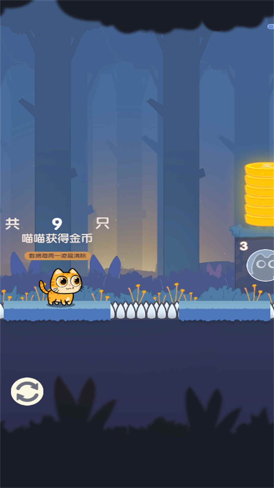 冒险喵
