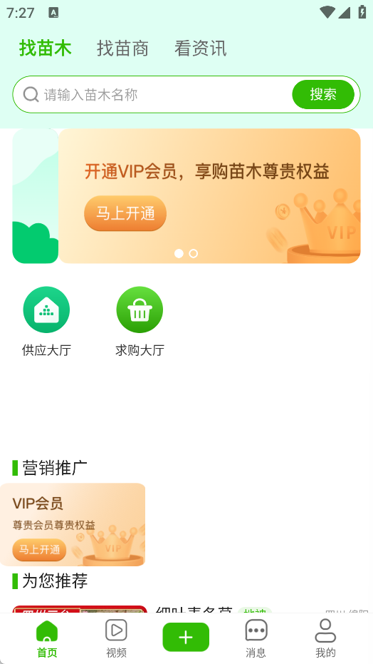 购苗木