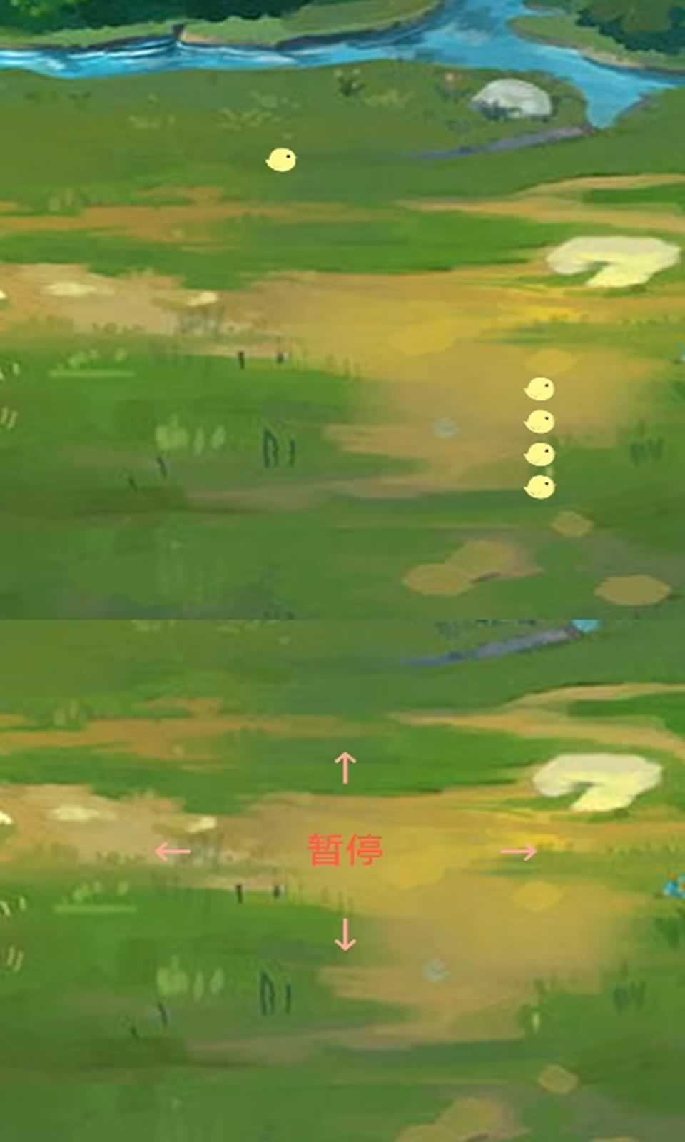 小鸡回家