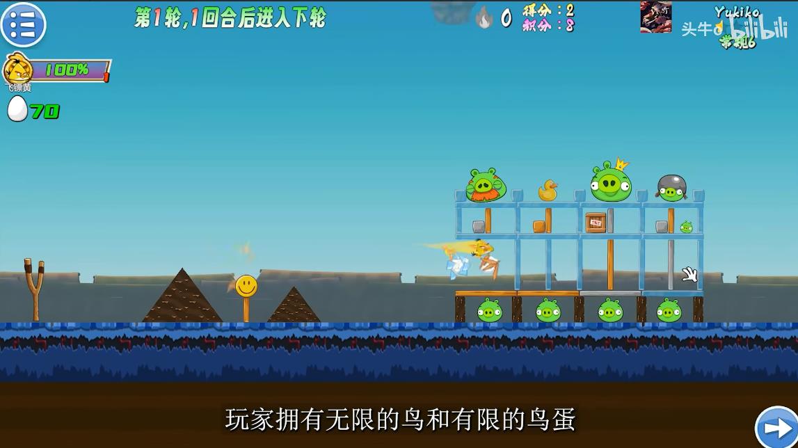我的鸟生存