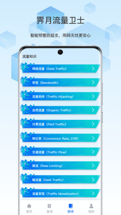 霁月流量卫士
