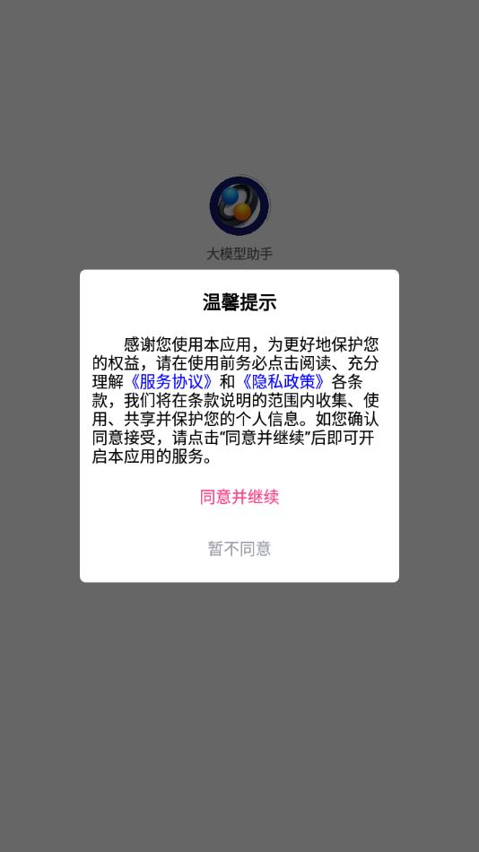 大模型助手