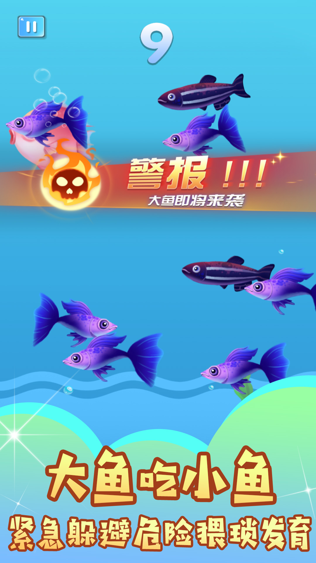 海洋掠食者