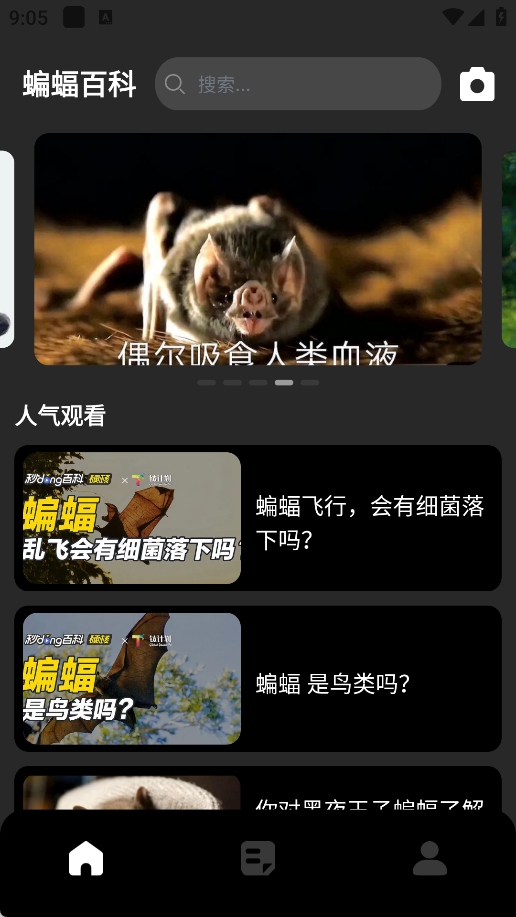 Batchat蝙蝠