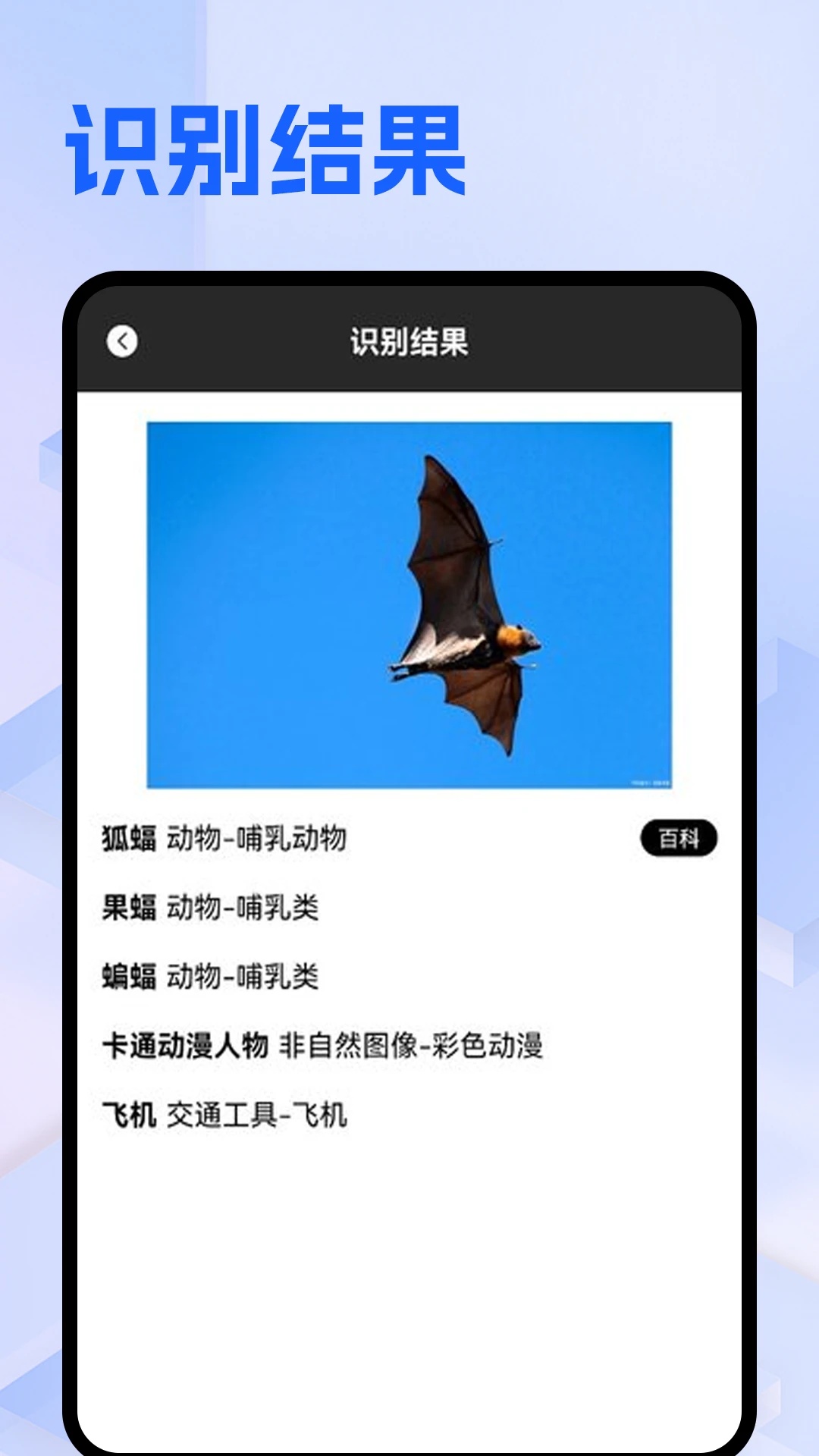 Batchat蝙蝠