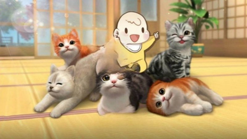 一手猫世界奶奶游