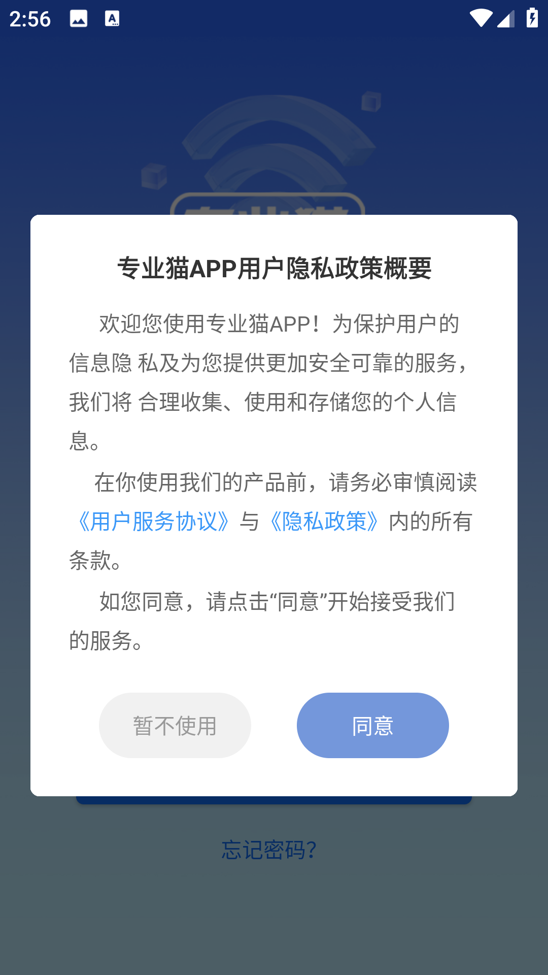 专业猫