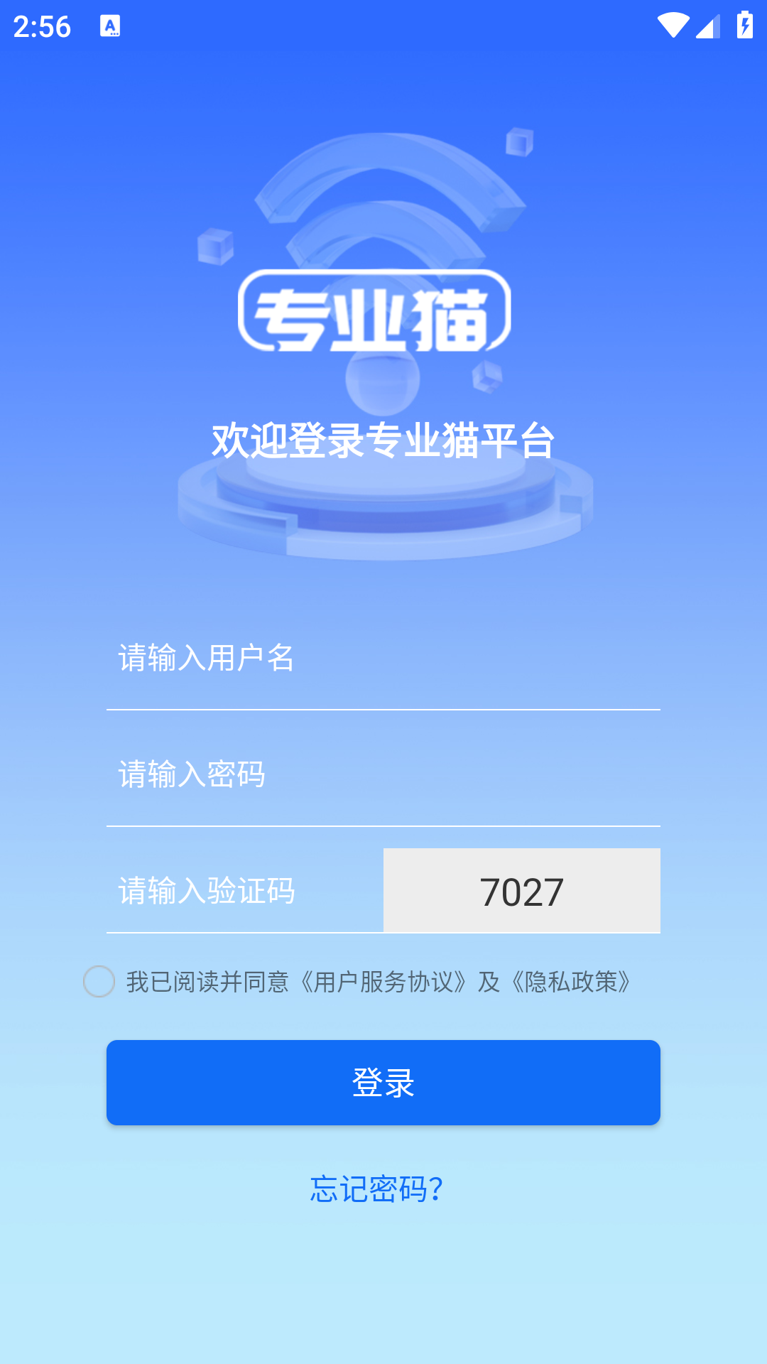 专业猫
