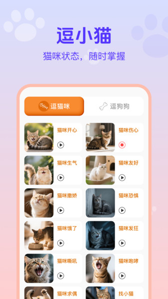 猫狗宠物交流助手