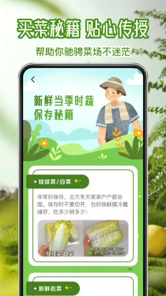 叮多买菜优惠