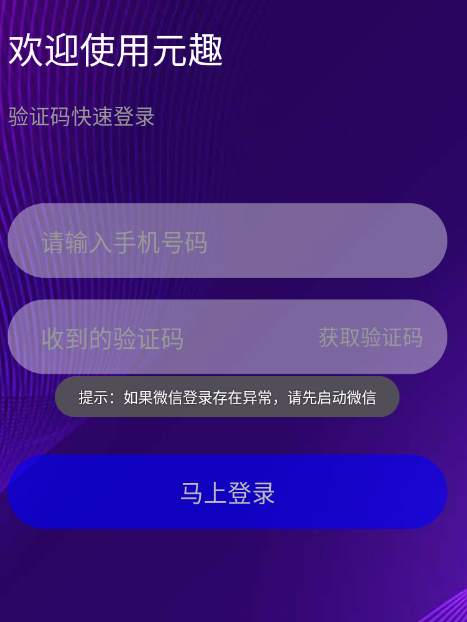 元趣