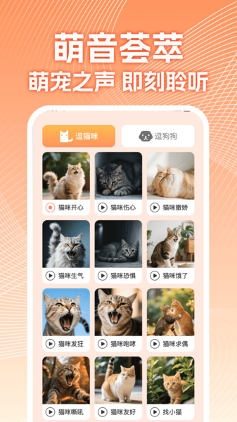 智能宠物翻译器