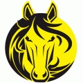 千里马计划2024最新版本