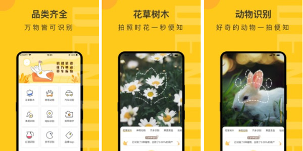 拍照识.花app