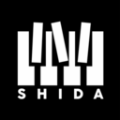 shida自动弹琴