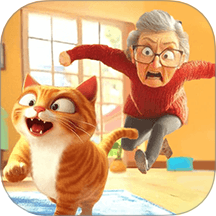 猫咪养成计划