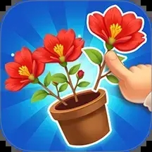 消个花朵吧