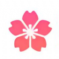 樱花影视2025