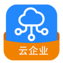 云企业