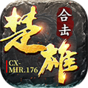 楚雄176合击