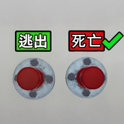 无限恐怖世界