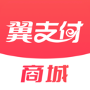 翼支付英文版