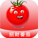 招财番茄