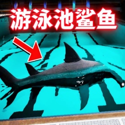 奇怪游泳池