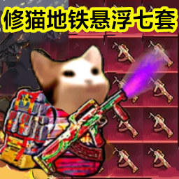 猫猫地铁乱斗