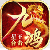 九鸿星王合击