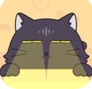 受惊的猫咪