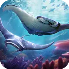 Top Fish