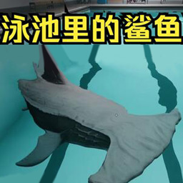 鲨鱼狩猎
