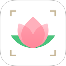 识花大师