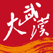 大武汉长江日报