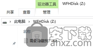 目录加密隐藏 Wise Folder Hider Pro